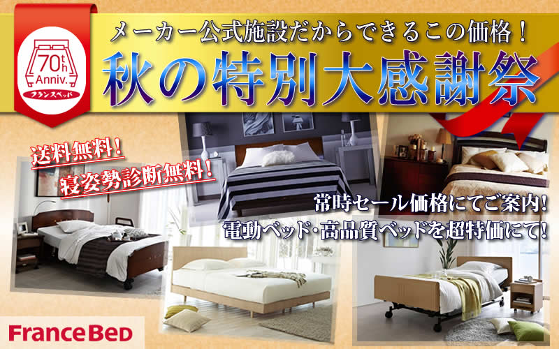 フランスベッド 掛川 静岡 工場直営 電動ベッド マットレス 寝装品 羽毛布団