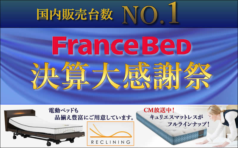 フランスベッド 掛川 静岡 工場直営 電動ベッド マットレス 寝装品 羽毛布団