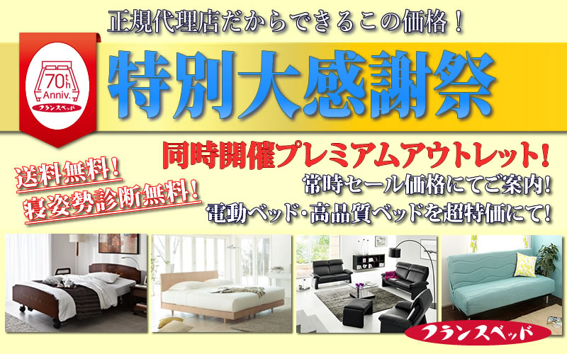 岡崎 愛知 フランスベッド 電動ベッド マットレス 寝装品 羽毛布団 セール アウトレット お値打ち 大感謝祭